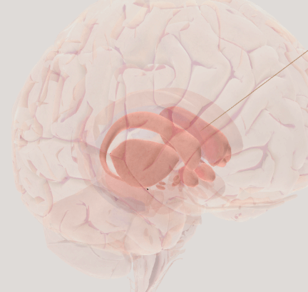 cerebro y sueño; psicologia; sueño; fases del sueño