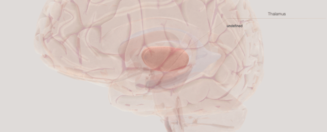 cerebro y sueño; psicologia; sueño; fases del sueño