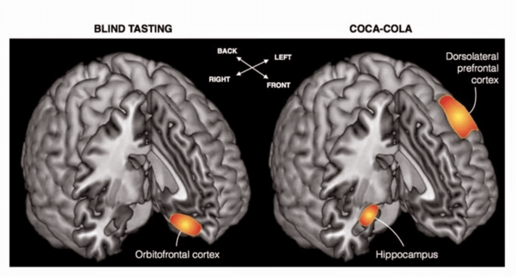imagen de resonancia magnetica funcional mostrando las diferencias en el cerebro cuando se sabe lo que se bebe y cuando se hace la cata sin saberlo